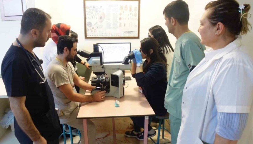 Uzmanı uyardı: "Kenenin vücutta kalma süresi bu hastalığın bulaşma riskini yükseltiyor"