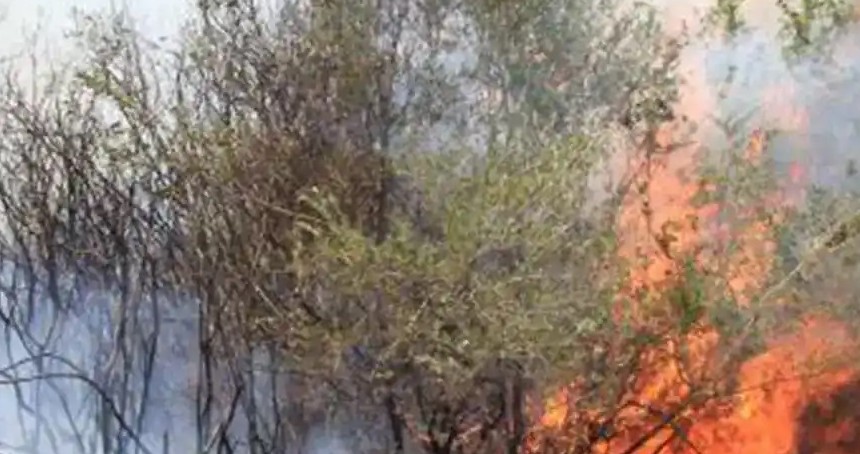 Antalya'da orman yangı: Ekipler müdahale ediyor
