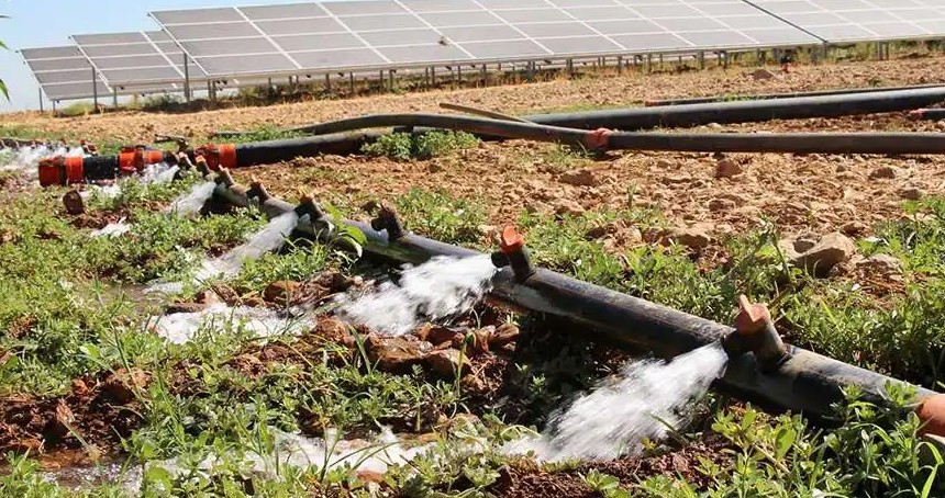 Çiftçilere 5,5 milyar liralık destek ödemesi bugün hesaplara yatırılıyor