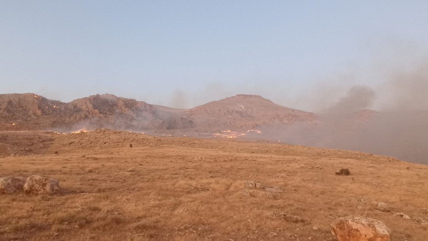 Mardin'de dağlık alanda çıkan yangın söndürüldü