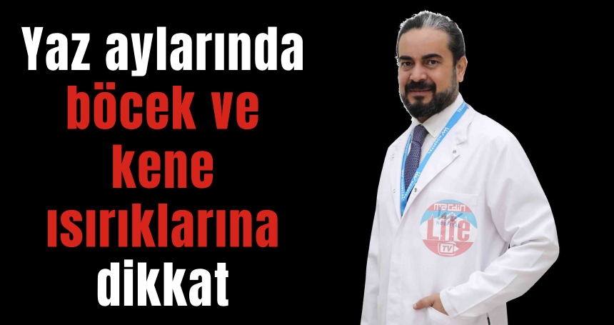 Yaz aylarında böcek ve kene ısırıklarına dikkat