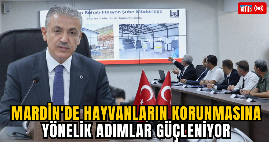 Mardin'de Hayvanların Korunmasına Yönelik Adımlar Güçleniyor