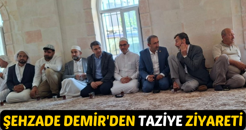 Şehzade Demir'den Mardin'de taziye ziyareti