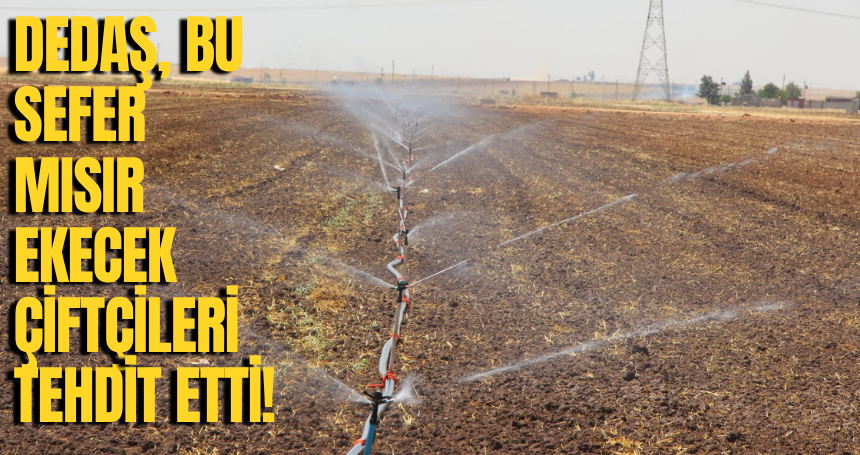 DEDAŞ, bu sefer Mısır ekecek çiftçileri tehdit etti!