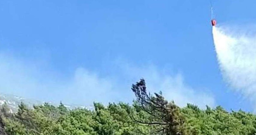 Hatay'da ormanlık alanda yangın