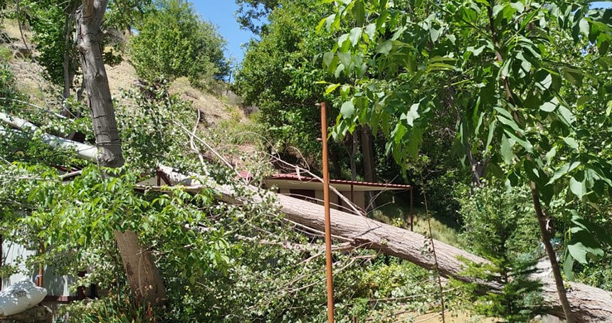 Malatya'da şiddetli fırtına: Ağaçlar devrildi çatılar uçtu