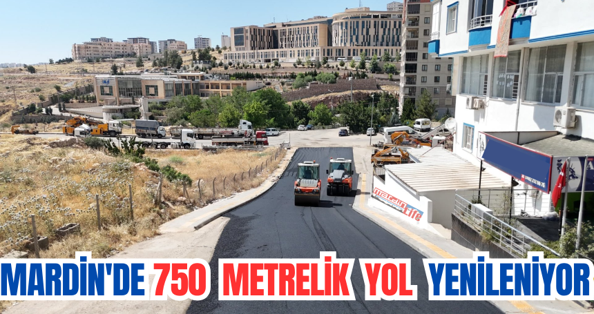 Mardin'de 750 Metrelik Yol Yenileniyor