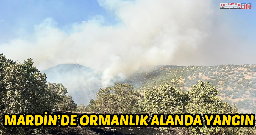 Mardin'de ormanlık alanda yangın