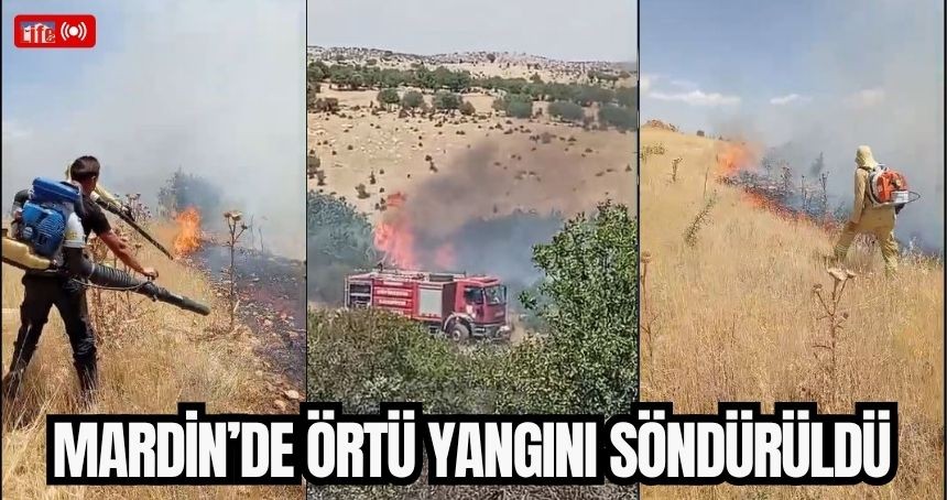Mardin’de örtü yangını söndürüldü