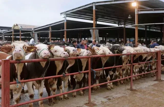 81 ile acil kodlu yazı