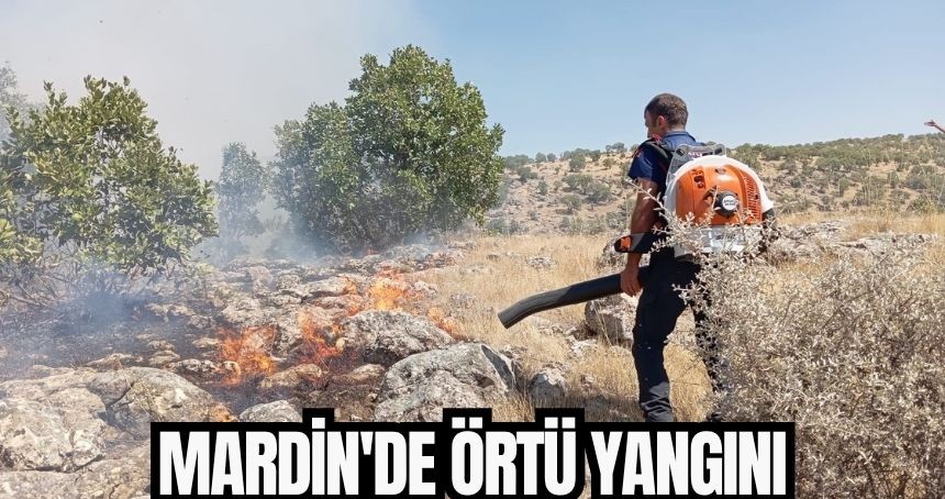 Mardin'de örtü yangını