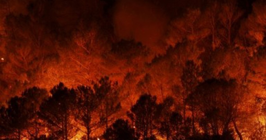 İspanya'da orman yangını: 2 ölü