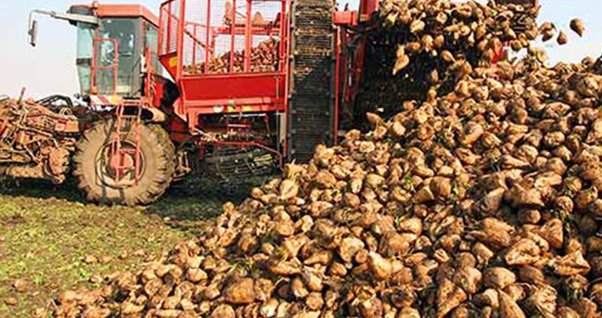 Pancar üreticilerine 2,5 milyar liralık ödeme