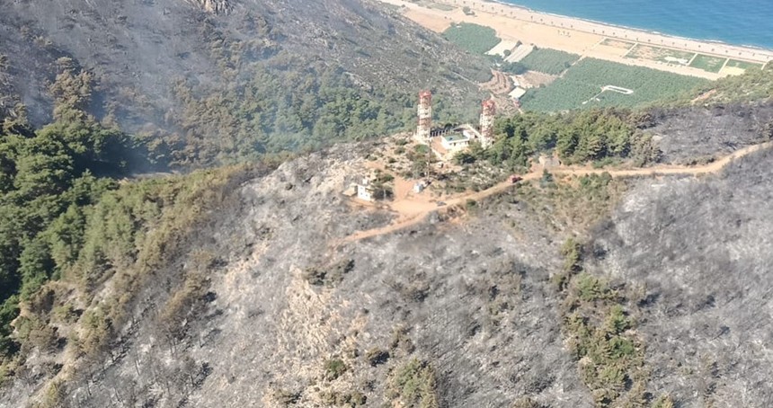 Antalya'daki orman yangınlarında 53 hektarlık alan zarar gördü