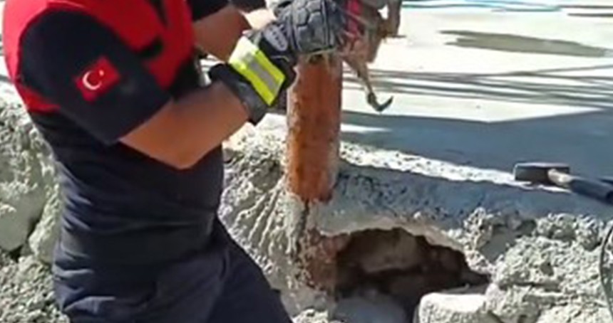 Beton altında mahsur kalan 2 yavru kedi kurtarıldı