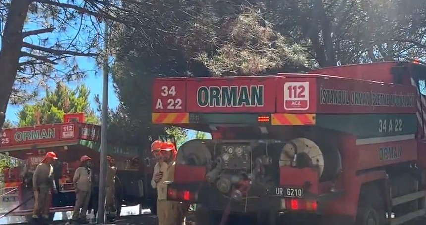 Sultangazi Kent Ormanı'ndaki yangın kontrol altına alındı