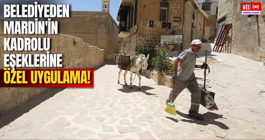 Belediyeden Mardin'in Kadrolu Eşeklerine Özel Uygulama!