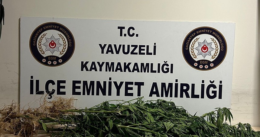Gaziantep'te hint keneviri ele geçirildi