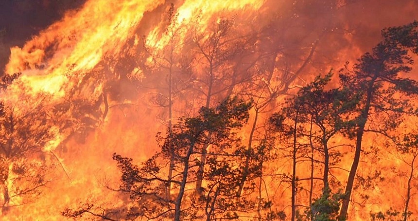 Hatay'da orman yangını rüzgarın etkisiyle yayılıyor