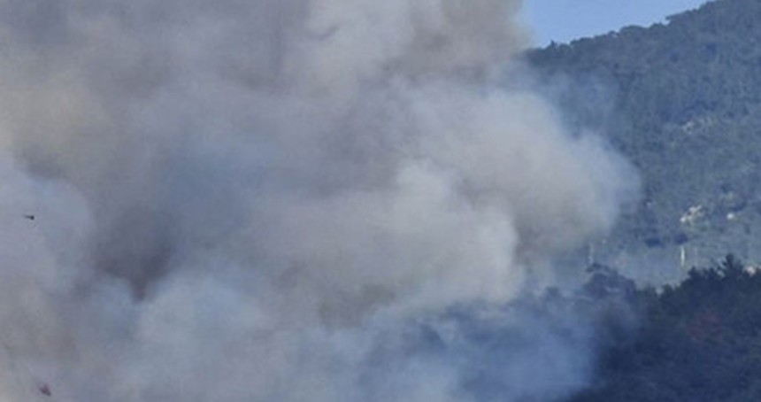 Muğla'da orman yangını