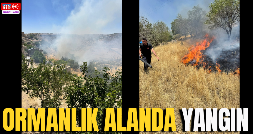 Ormanlık alanda yangın çıktı