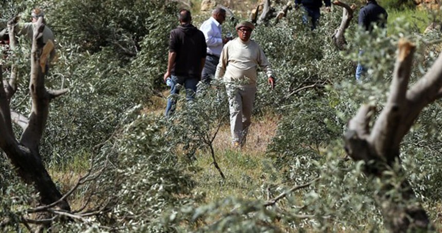 Yahudi çeteler Nablus'ta Filistinlilere saldırdı: Yaralılar var