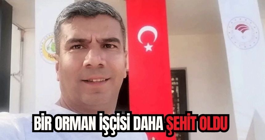 Bir orman işçisi daha şehit oldu