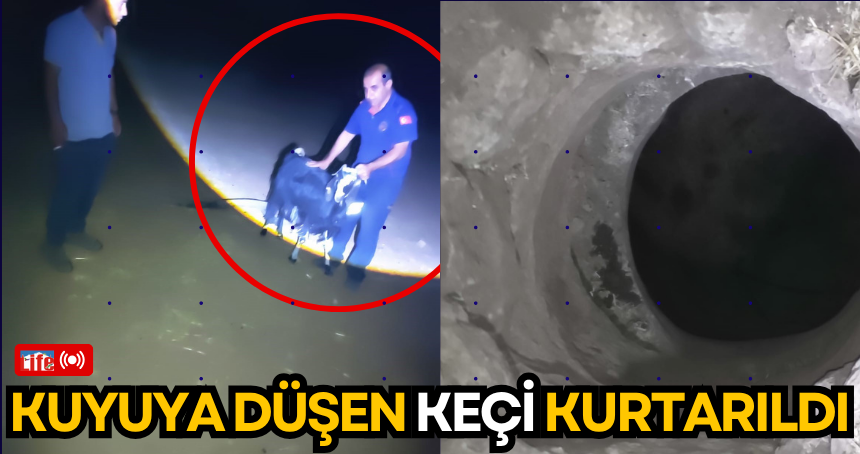 Kuyuya düşen keçi kurtarıldı