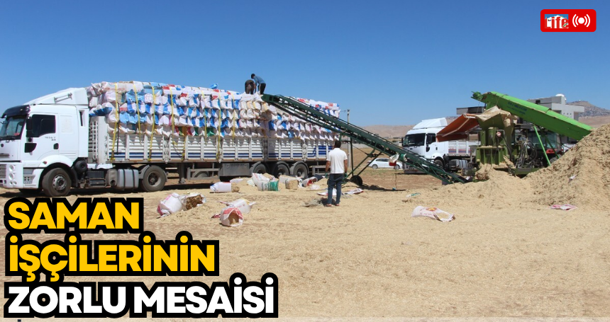 Sıcakla, Tozla ve Yorgunlukla İmtihan: Mardin’de Saman İşçilerinin Zorlu Mesaisi