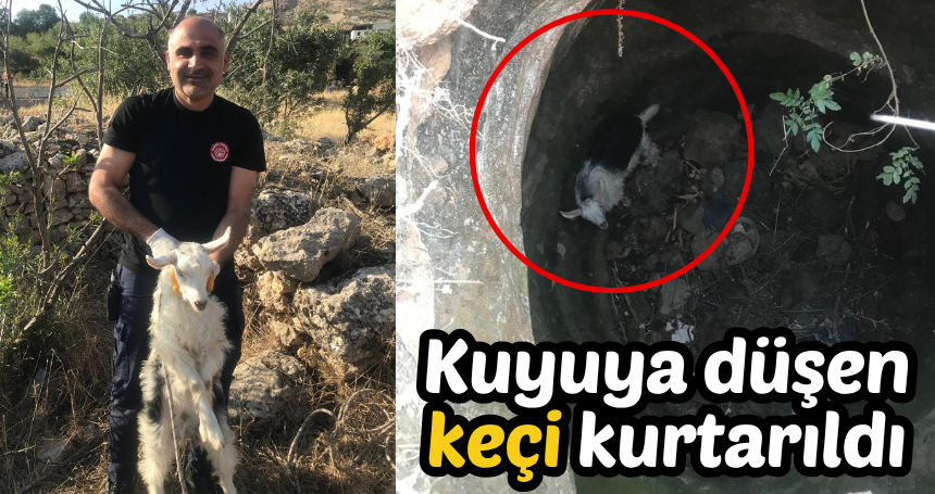Kuyuya düşen keçi kurtarıldı