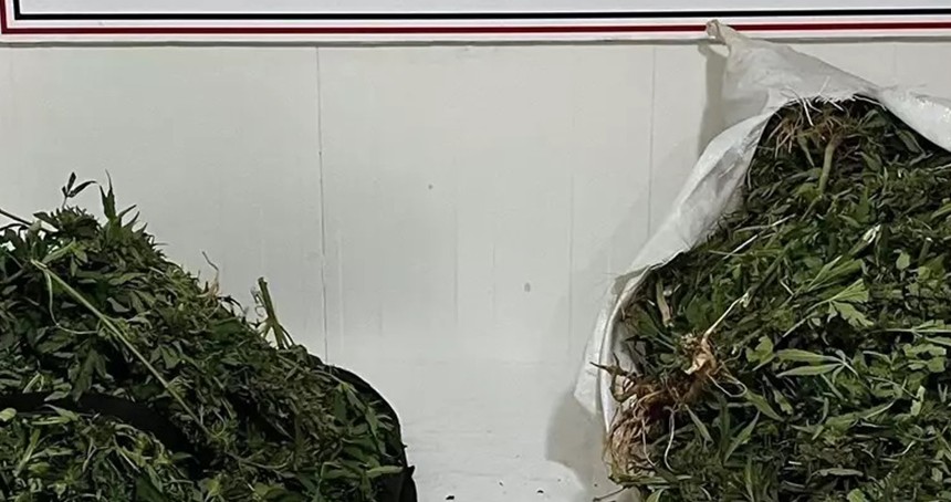 Bingöl'de17 kilogram esrar ele geçirildi: 4 gözaltı