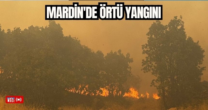 Mardin'de örtü yangını