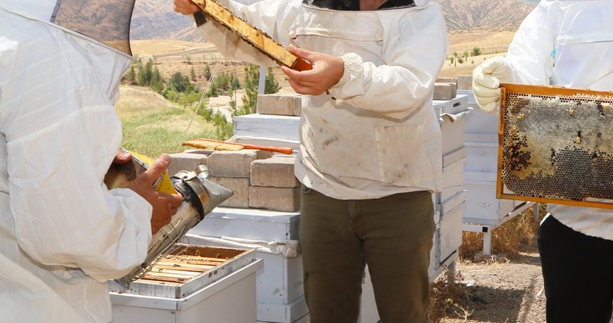 Siirt Üniversitesi bünyesinde bereketli bal hasadı gerçekleştirildi