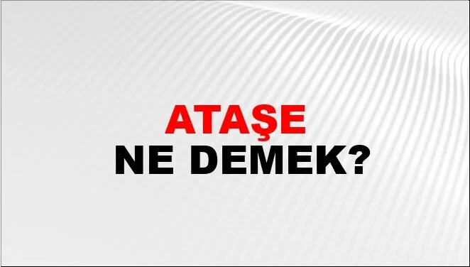 Ataşe ne demek? Ataşe kime denir? Ne iş yapar?