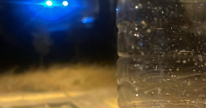Batman Yenişehir Mahallesi’ni akrepler sardı