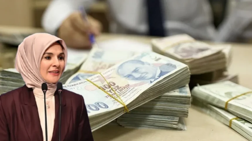 Evde bakım, SED, koruyucu aile yardımı ne kadar oldu?