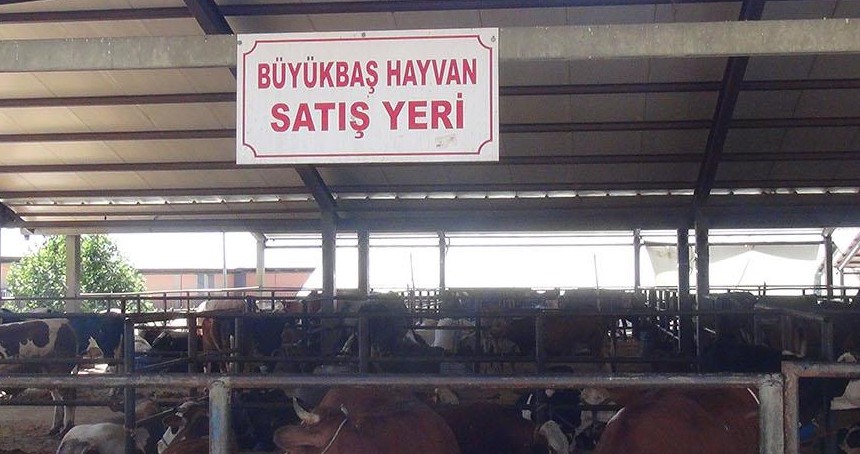 Gaziantep İl Tarım ve Orman Müdürlüğünden hayvan pazarlarıyla ilgili açıklama