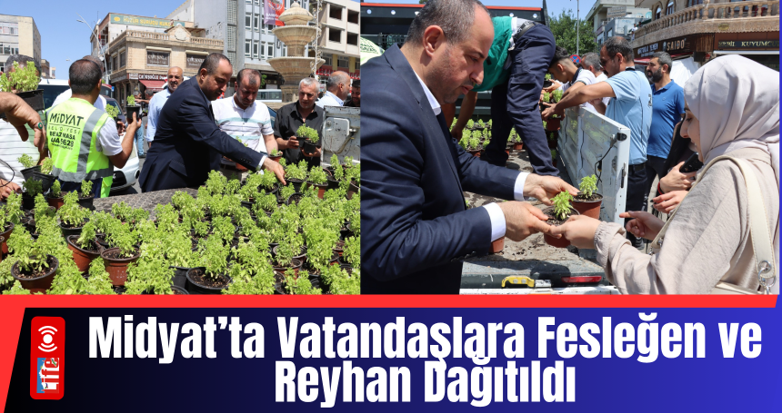 Midyat’ta Vatandaşlara Fesleğen ve Reyhan Dağıtıldı