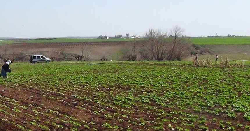 TKDK'dan Gaziantep'te kırsal kalkınma ve tarım sektörüne destek
