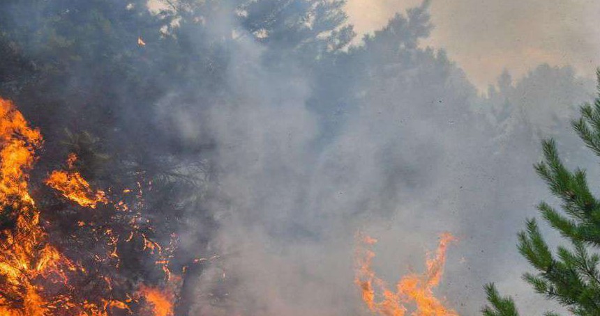 Adıyaman'da ormanlık alanda yangın