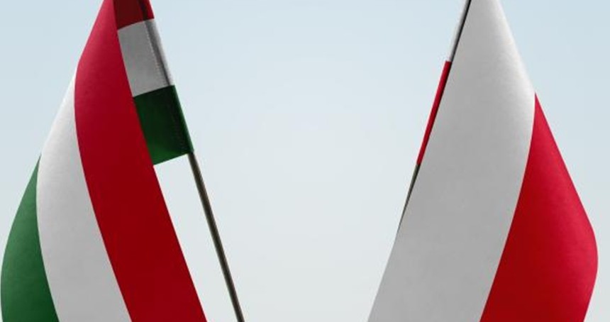 Polonya, siyasi sığınma anlaşmazlığı nedeniyle Macaristan'daki büyükelçisini geri çağırdı