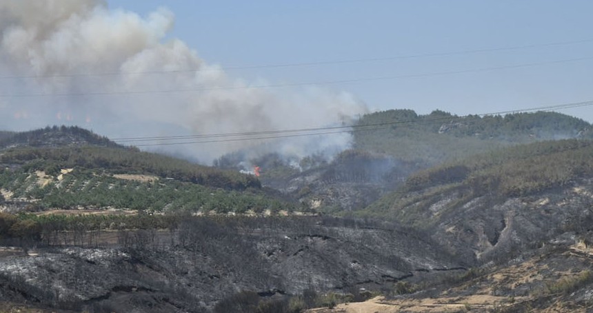 Tekirdağ ve Balıkesir'de orman yangınları: Bin 320 kişi tahliye edildi