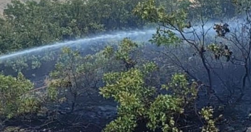 Bingöl’de son bir haftada dört orman yangını: Valilikten uyarı 