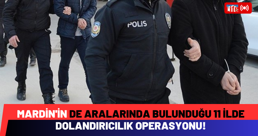 Mardin'in de aralarında bulunduğu 11 ilde dolandırıcılık operasyonu!