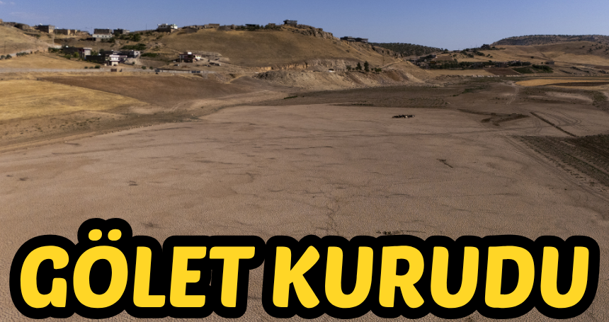 Mazıdağı’nda bulunan gölet kurudu