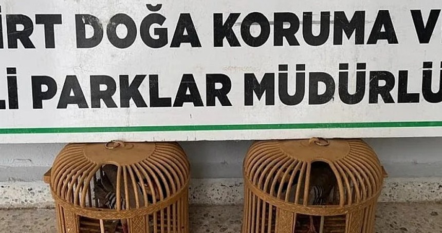 Siirt’te kınalı keklik satın alan kişiye 19 bin 977 TL ceza kesildi
