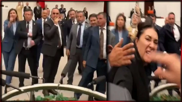 Meclis'te 'zeytinlik' kavgası!
