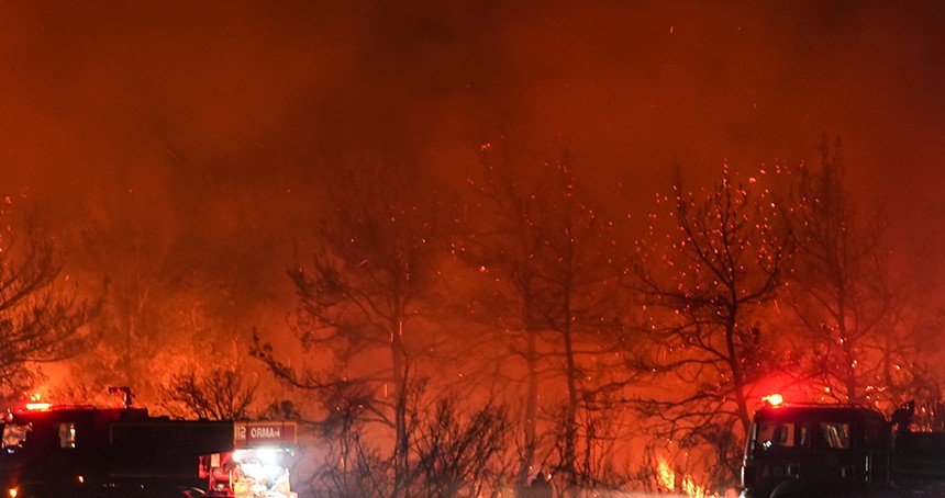 Sakarya'da orman yangını