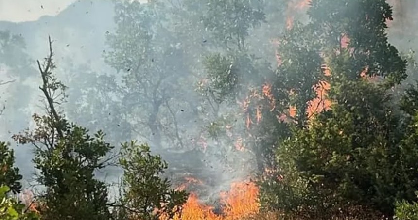 Bingöl’de 4 ayrı noktada yangın çıktı