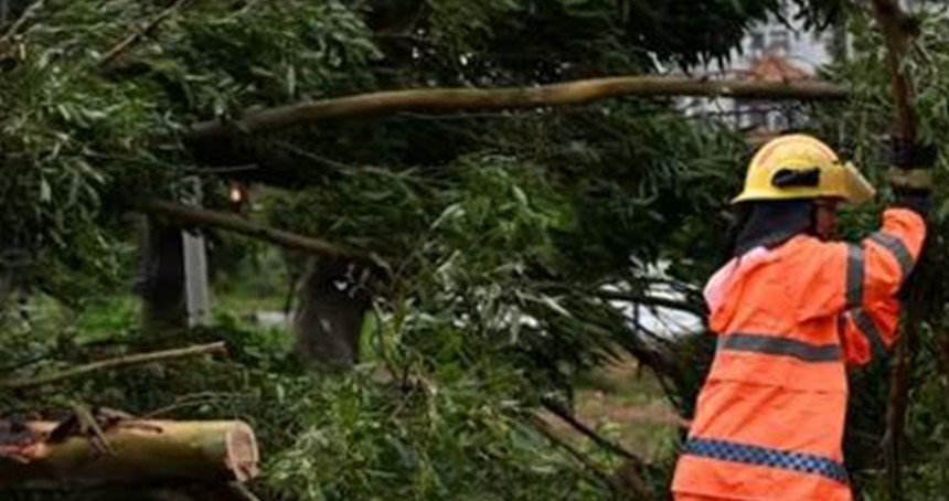 Hong Kong'da Wipha Tayfunu etkili oluyor